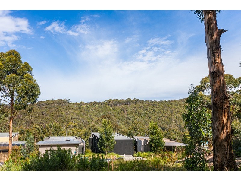 11 Skyline Court, Lorne VIC 3232