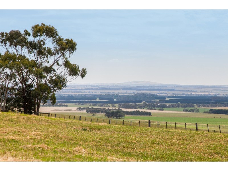 1130 Winchelsea-Deans Marsh Road, Bambra VIC 3241