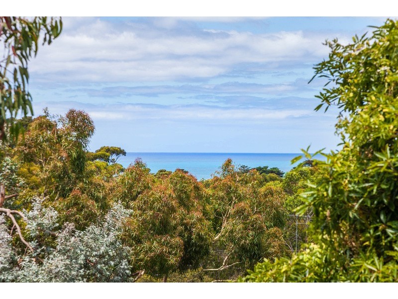 23 Richardson Boulevard, Lorne VIC 3232