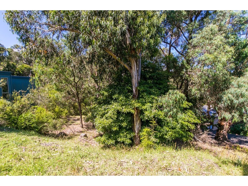 20 Richardson Boulevard, Lorne VIC 3232
