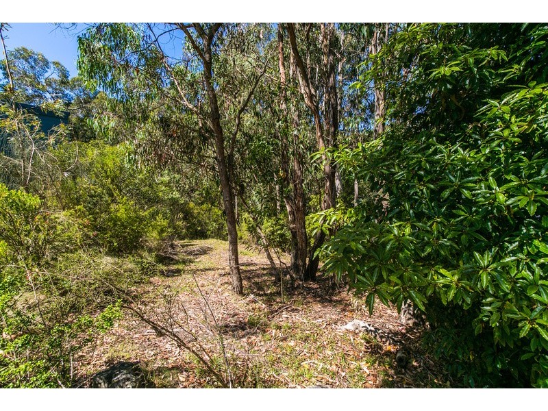 20 Richardson Boulevard, Lorne VIC 3232