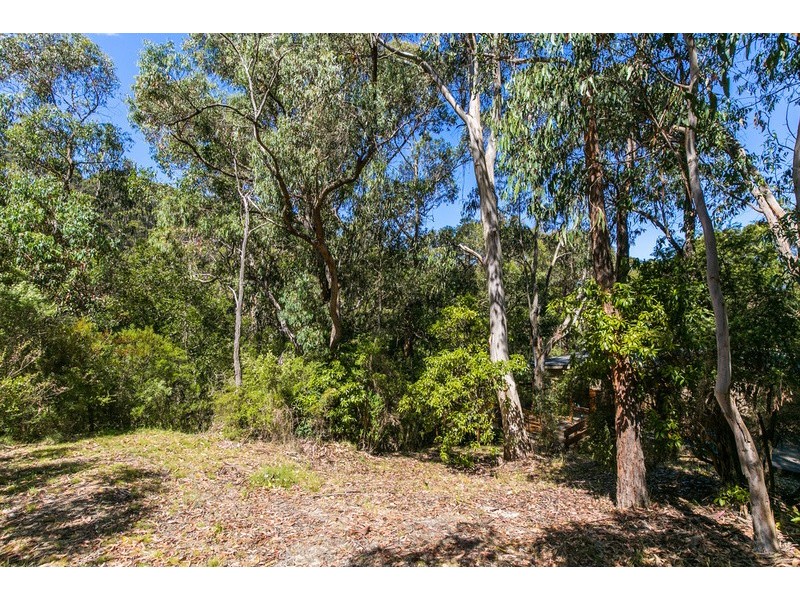 20 Richardson Boulevard, Lorne VIC 3232