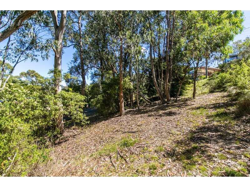 20 Richardson Boulevard, Lorne VIC 3232