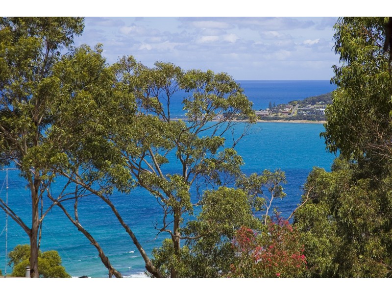 10 Skyline Court, Lorne VIC 3232