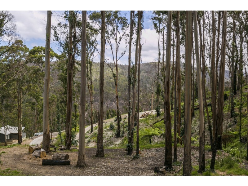 15 Karingal Drive, Wye River VIC 3221