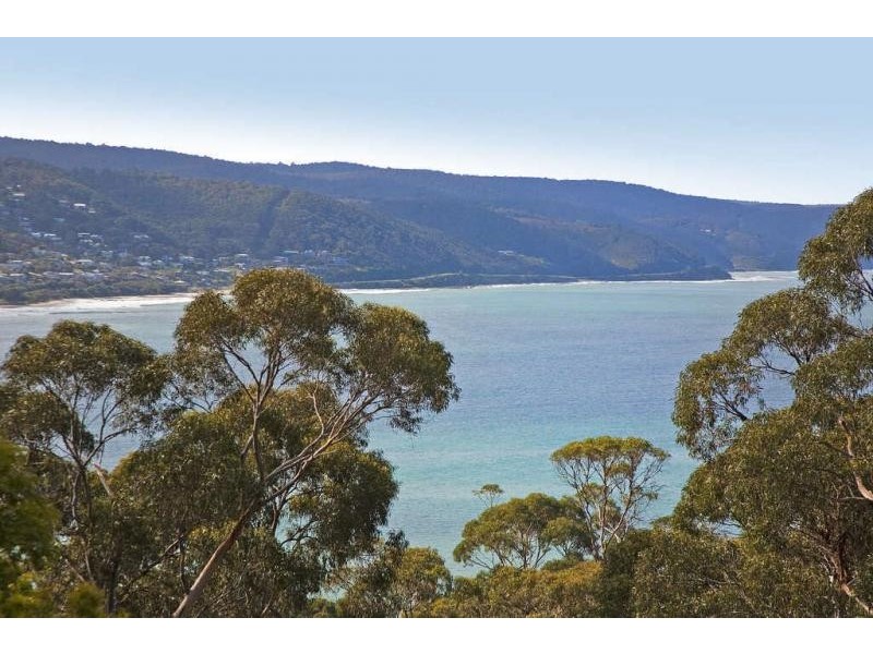 62 Charles Street, Lorne VIC 3232