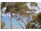11 Skyline Court, Lorne VIC 3232