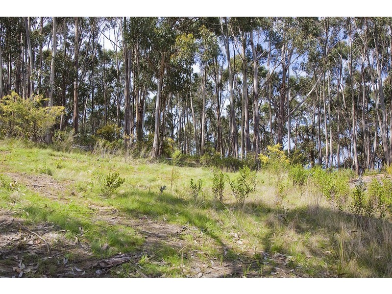 11 Skyline Court, Lorne VIC 3232