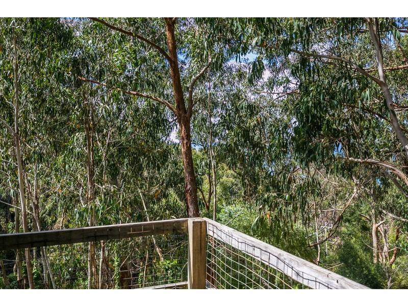 13 Cassidy Drive, Kennett River VIC 3221