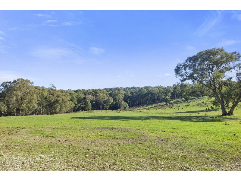 45 Rivendell Lane, Forrest VIC 3236