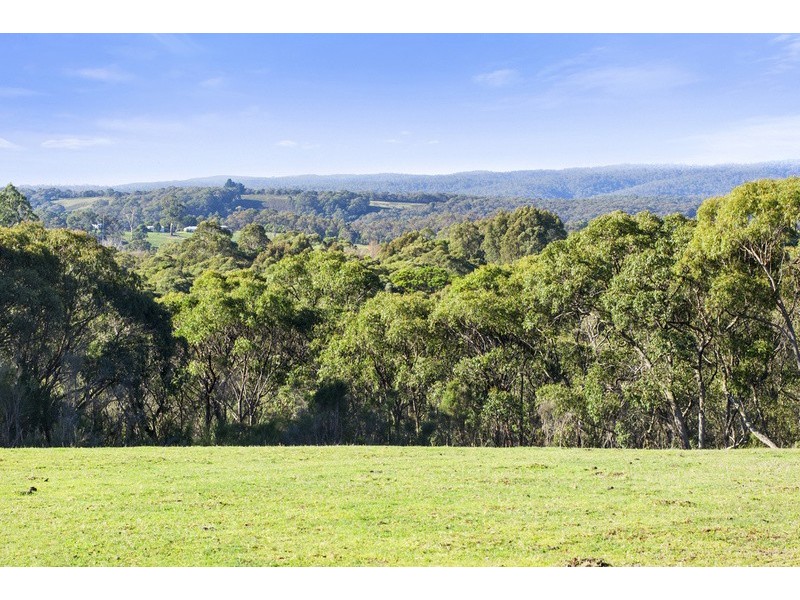 45 Rivendell Lane, Forrest VIC 3236