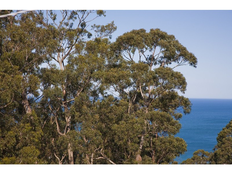 42 Ridge Drive, Kennett River VIC 3221