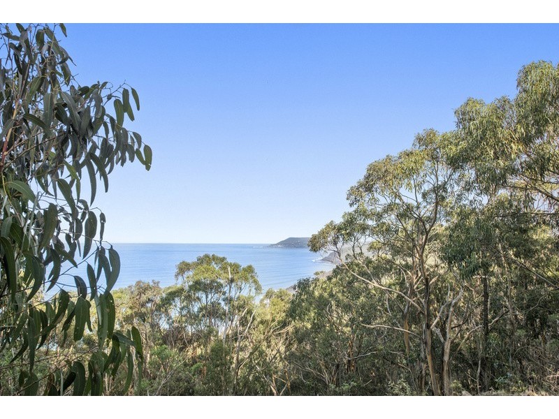 1188 Great Ocean Road, Big Hill VIC 3231
