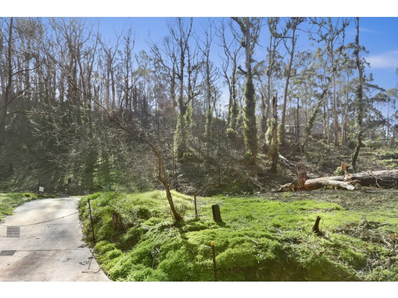 2 Illowra Avenue, Wye River VIC 3221