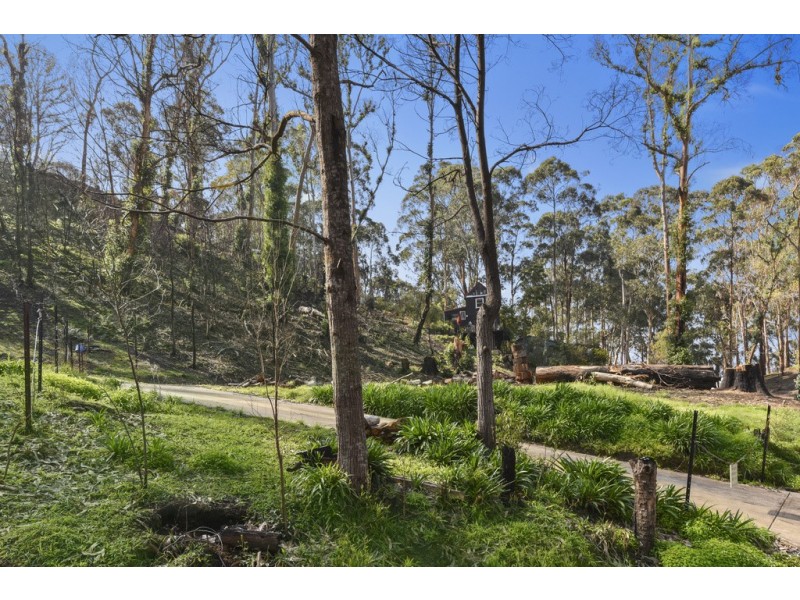 2 Illowra Avenue, Wye River VIC 3221