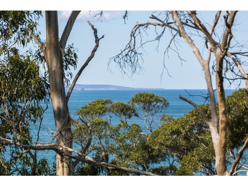 132 Smith Street, Lorne VIC 3232