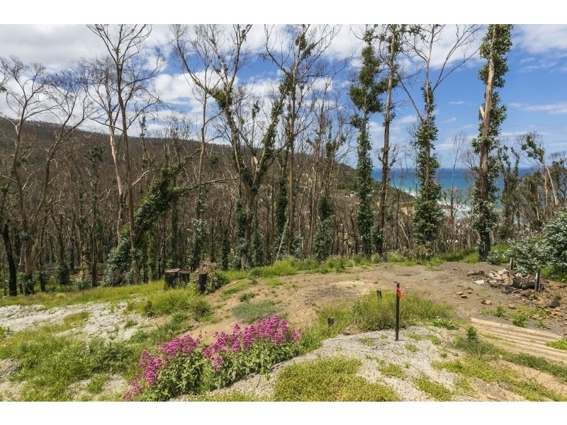 3 Dunoon Road, Wye River VIC 3221