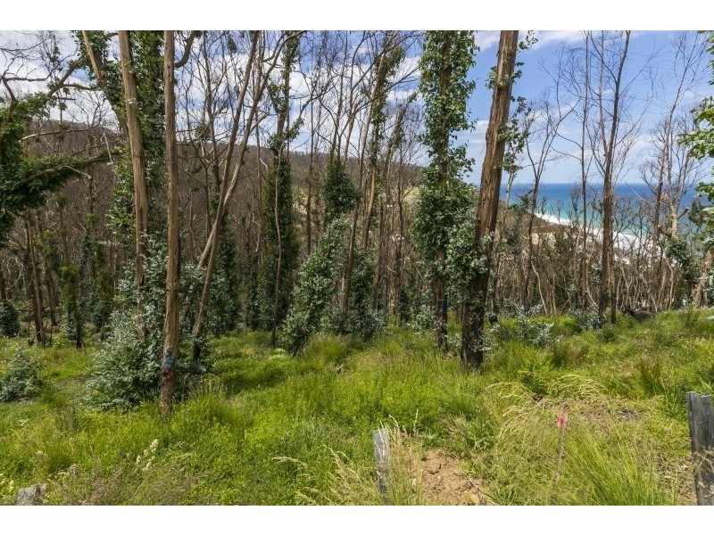 3 Dunoon Road, Wye River VIC 3221