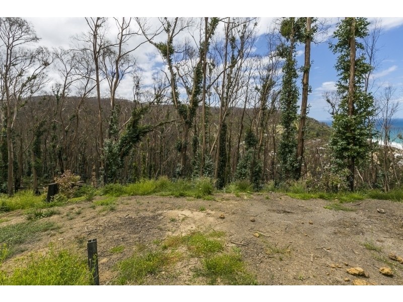 3 Dunoon Road, Wye River VIC 3221