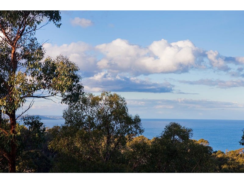 2/17 Minapre Street, Lorne VIC 3232