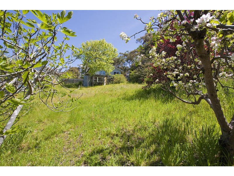 11 Allen Street, Lorne VIC 3232