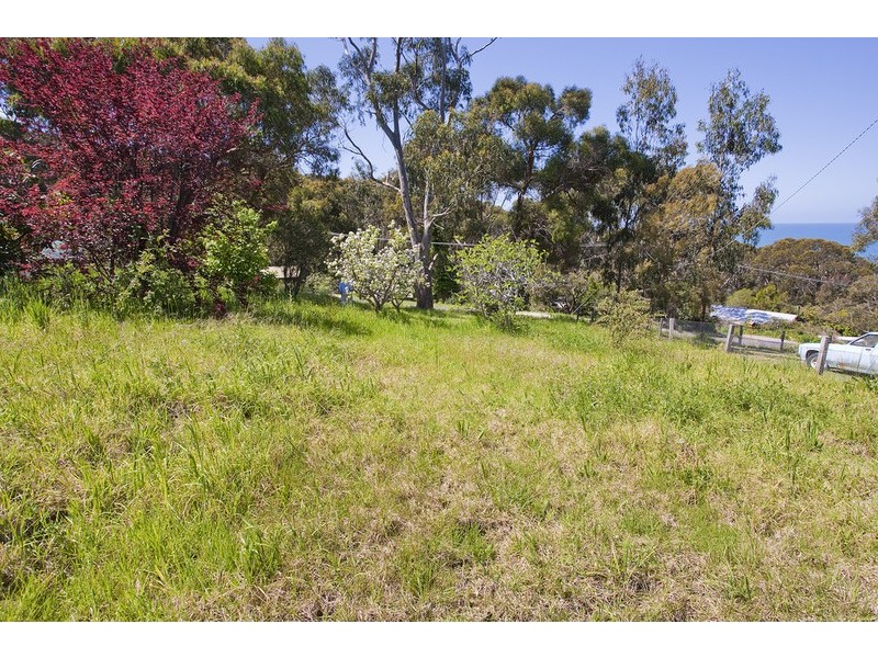 11 Allen Street, Lorne VIC 3232