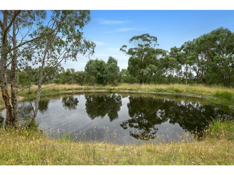 155 Bambra Cemetery Road, Deans Marsh VIC 3235