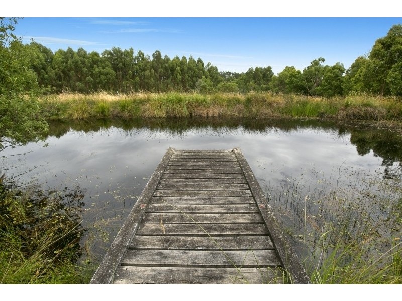 155 Bambra Cemetery Road, Deans Marsh VIC 3235