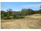 155 Bambra Cemetery Road, Deans Marsh VIC 3235