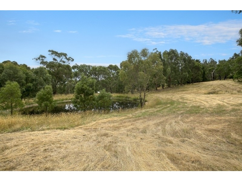 155 Bambra Cemetery Road, Deans Marsh VIC 3235
