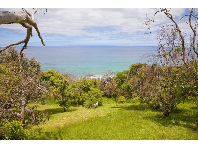 61 Morley Avenue, Wye River VIC 3221