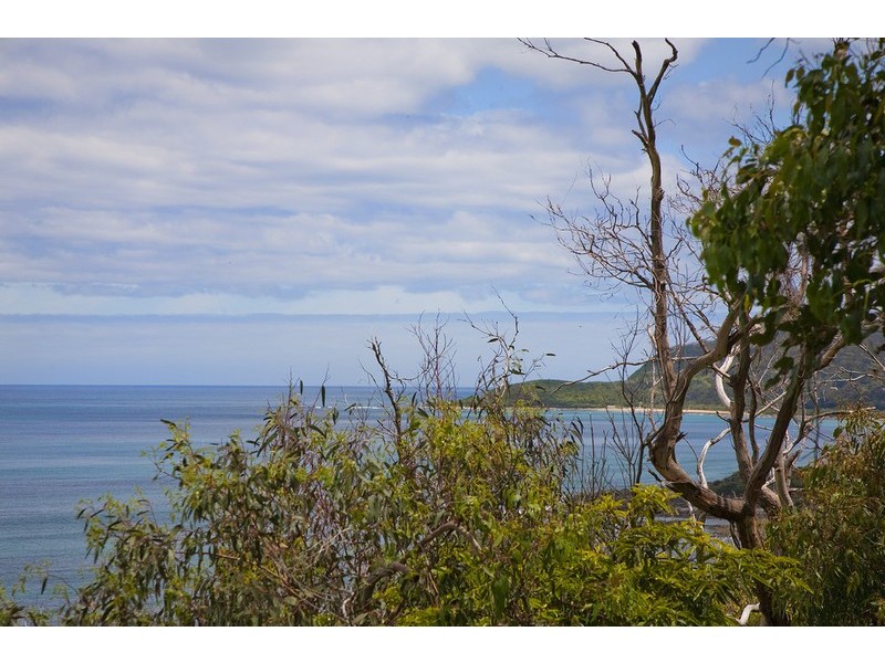 61 Morley Avenue, Wye River VIC 3221