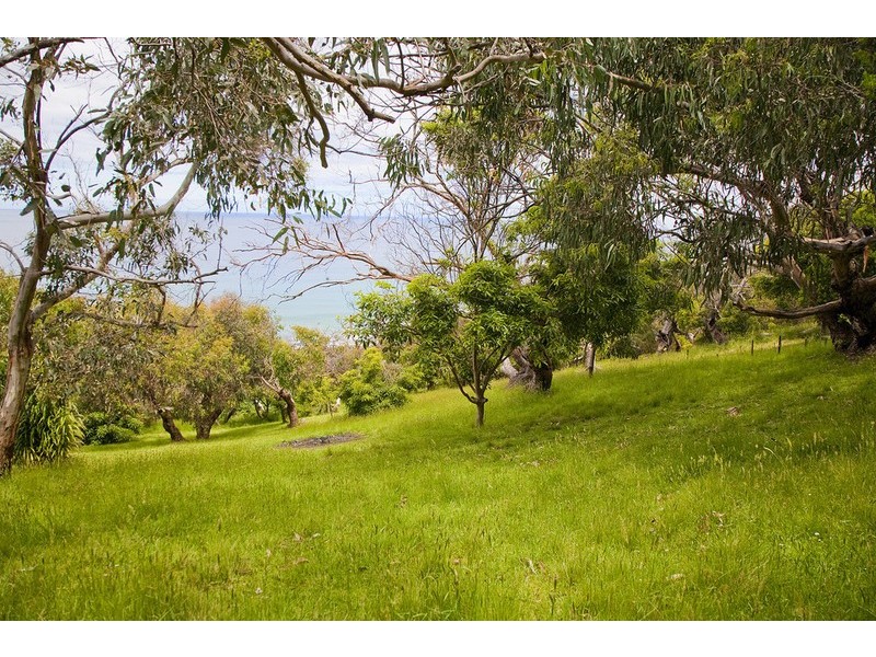 61 Morley Avenue, Wye River VIC 3221