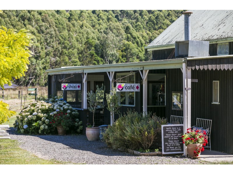 520 Pennyroyal Valley Road, Pennyroyal VIC 3235