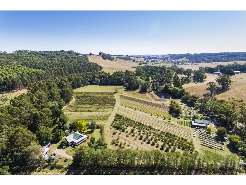520 Pennyroyal Valley Road, Pennyroyal VIC 3235