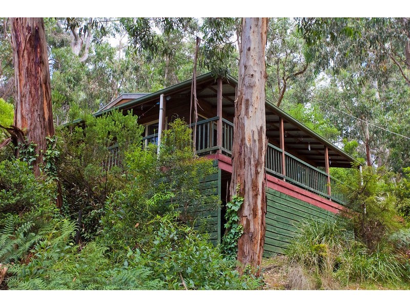 1 Ferny Grove, Kennett River VIC 3221