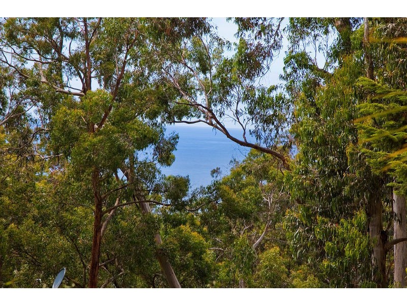 1 Ferny Grove, Kennett River VIC 3221