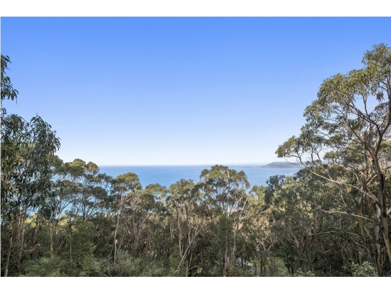 1188 Great Ocean Road, Big Hill VIC 3231