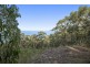 1188 Great Ocean Road, Big Hill VIC 3231