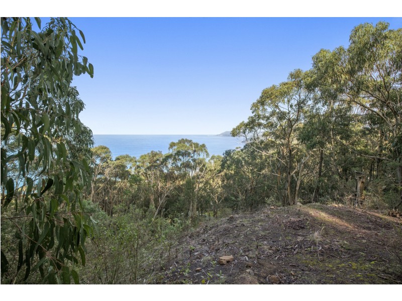 1188 Great Ocean Road, Big Hill VIC 3231