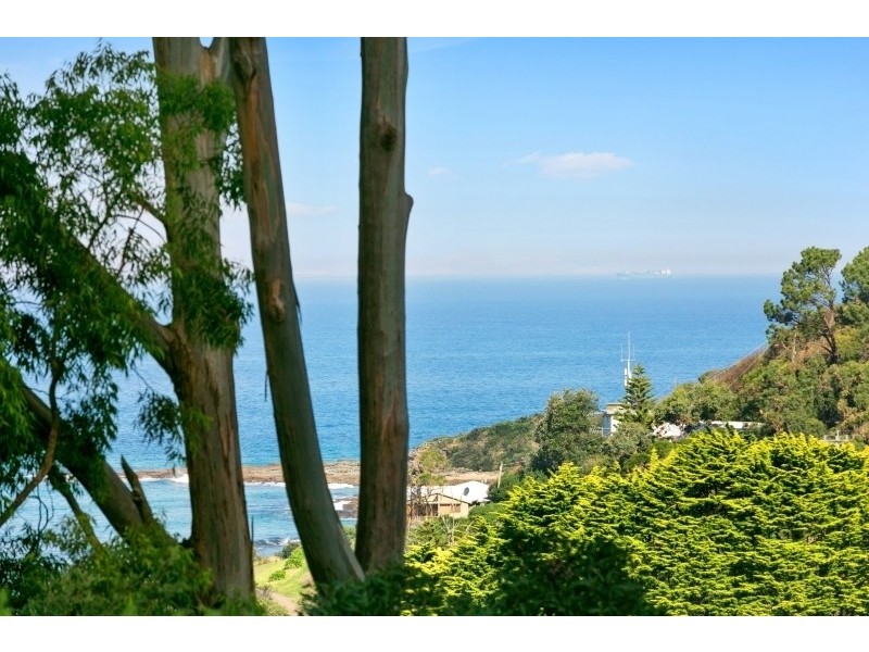 4 The Bluff, Wye River VIC 3221