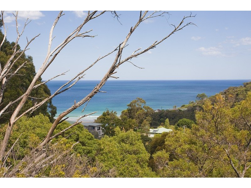 36 Riverside Drive, Wye River VIC 3221