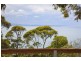8 Wallace Street, Lorne VIC 3232