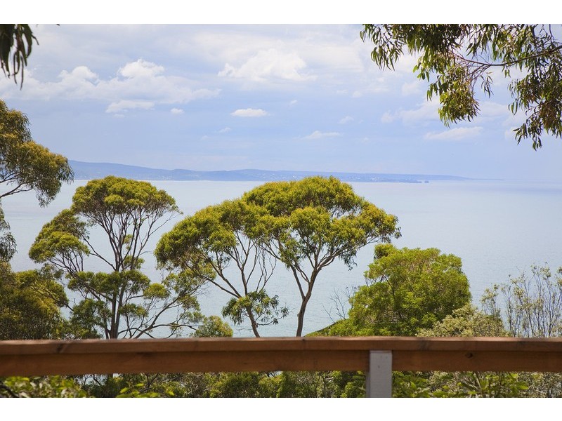 8 Wallace Street, Lorne VIC 3232