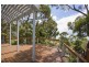 8 Wallace Street, Lorne VIC 3232