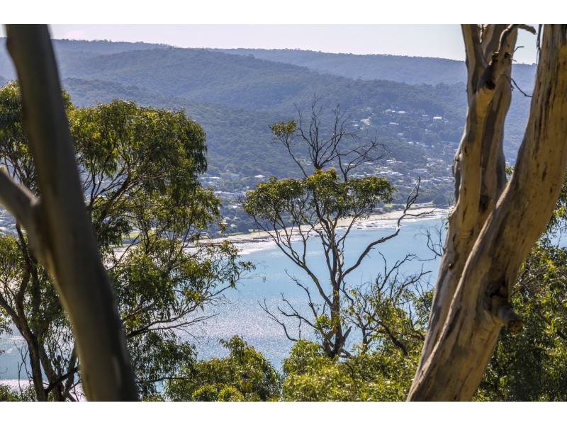 71 George Street, Lorne VIC 3232