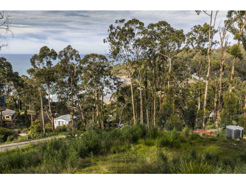 50 Karingal Drive, Wye River VIC 3221