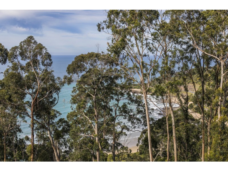 50 Karingal Drive, Wye River VIC 3221