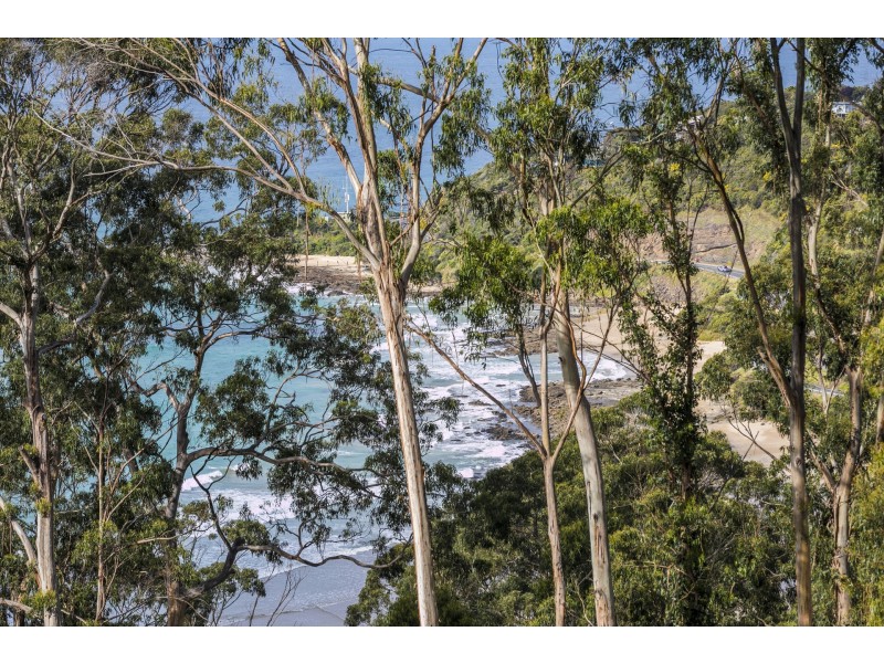 50 Karingal Drive, Wye River VIC 3221