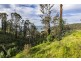 26 Karingal Drive, Wye River VIC 3221